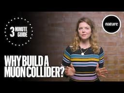 Why build a muon collider: a three minute guide