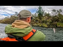 Euro Nymphing for BIG Spring Rainbow Trout