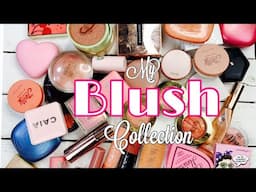 MY MAKEUP COLLECTION 2025 | BLUSH!