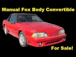 1991 Fox Body Ford Mustang Convertible  For Sale 5.0 Vanilla Ice Mustang Squarebody Classic Muscle