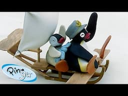 The Flying Pingu! 🐧 | Pingu - Official Channel | Cartoons For Kids