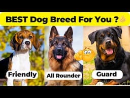 Which Type Of Dog Breed Is Best For You ? | Friendly ?, Guard ? Or Allrounder ?