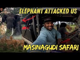 THRILLING OFF-ROAD SAFARI IN MASINAGUDI @CherryVlogsCV