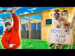 HOW TO BUILD AN ANIMAL ENCLOSURE - STEP BY STEP DIY BUILD