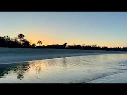 Join Robb for His Tuesday Morning Beach Walk at Delnor-Wiggins in North Naples, Florida (02/04/25)