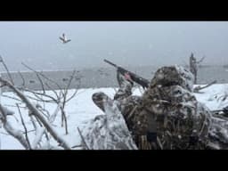 Mallards in the Snow | Duck Hunting Harsh Winter Conditions