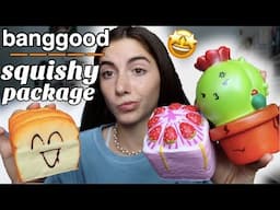 BANGGOOD SQUISHY PACKAGE!!!