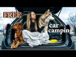 Car Camping In My Subaru Forester | Missing Vanlife