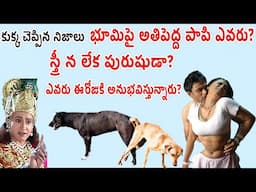 కృష్ణుడు చెప్పిన జీవిత సత్యం |  అతి పెద్ద పాపి ఎవరు? | Infosecret