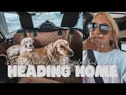 HEADING HOME TO IA W/ THE PUPS, PACKING & SEPHORA HAUL | Holley Gabrielle