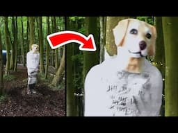 जंगल के अनसुलझे रहस्य | Terrifying Things Found In The Woods