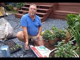 Start an instant garden by growing in bags of soil.