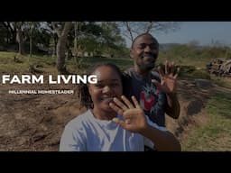 Cow Manure | Homesteading in South Africa | Millennial Homesteader