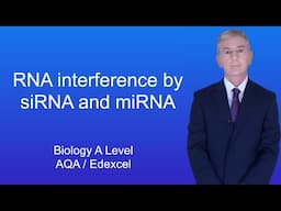 A Level Biology Revision (Year 13) "RNA Interference by siRNA and miRNA"