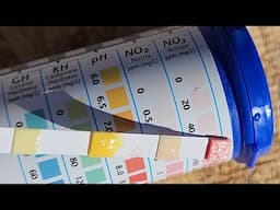 Bacterial Oxidation of Urine to Nitrates