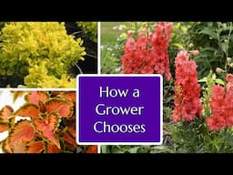 How a Grower Chooses Plants - Perennials & more