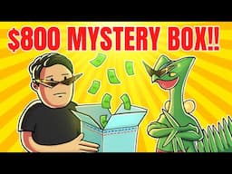 Opening An Unbelievable Pokémon Card Mystery Box