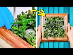 Gardening Hacks: 101 Indoor Planting Tips. Simple Succulents for a Cozy Space 🌵