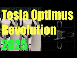 Tesla Stock Realistic Revenues from Optimus Ramp; Bear's, Bull's; Use Cases Exploding