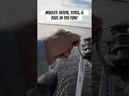 Hook a mullet, toss it in then reel in the fun! #kastkingusa #fingermullet #fishing