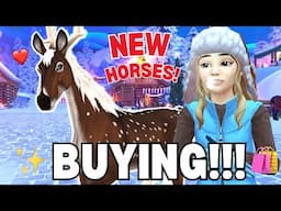 *BUYING* NEW MAGICAL WINTER HORSES: EARIK & HJORTENSIA IN STAR STABLE!!