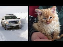 Policeman Saves A Kitten Frozen In Chunk of Ice.