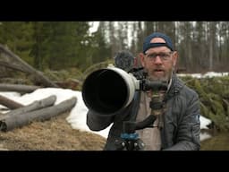 Photographing Birds! Right place at the Right time!