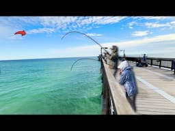 BIG Ones on This GULF Pier!