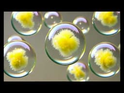 Cells healing - Subconscious reprogramming, health and well being