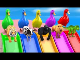 Long Slide Game With Elephant Cow Lion Tiger Gorilla Dinosaur 3d Animal Game Funny 3d Paint Animals