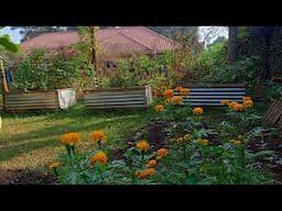 A Raised Bed Garden Tour, Growing Vegetables In Small Spaces.