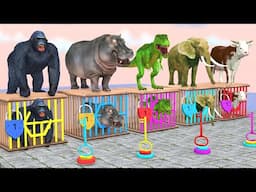 Cow Mammoth Dinosaur Elephant Gorilla Guess The Right Key ESCAPE ROOM CHALLENGE Animal Cage Game #99