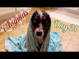 🎄VLOGMAS 2024 | Day 21