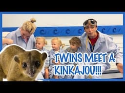 Echo and Friends meet a Kinkajou | Identical twins react!