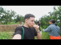 The Chinese City Where Oranges Don't Turn Orange.. | Mini Vlog