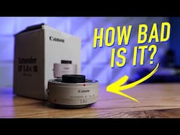 Canon Lens Extender EF 1.4X III - Bad Image Quality?