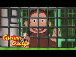 George's Animal Jailbreak 🐵 Full Episodes | Curious George