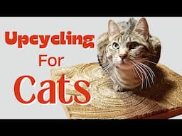 3 DIY Upcycled Projects For Your Cats