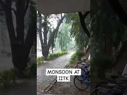 monsoon at IIT Kanpur. Campus in July August #shorts #iitkanpur #iit #nature