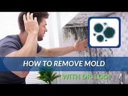 How To Remove Mold - Dr. Lodi