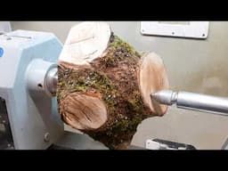 Woodturning A Crazy Crotch Ash Log !!