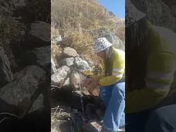 Found this during trekking for the Neelkanth Mountain, Badrinath. Water in its purest form 🤌