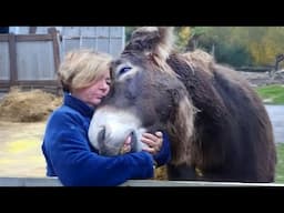 Love of animals will heal your heart with their loving hugs