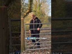 Comedy gold! #gates #rural #livestock #farm #wales #countryside #outdoors #fail #funny #girlfriend