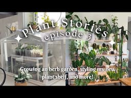 Plant Stories ep 3 my herb garden, plant shelf styling, IKEA greenhouse prep, and more!