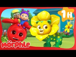 The Flower Power Prize🌸✨ |  Mila and Morphle | Fun Cartoons for Kids