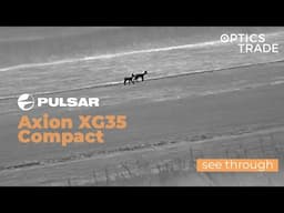 Roe Deer with Pulsar Axion XG35 Compact | Optics Trade See Through