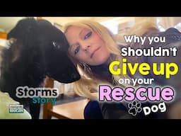 Why You Shouldn't Give Up On Your Rescue Dog - Storms Story 🐾 🐶