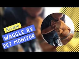 Waggle RV Pet Monitor Review - Must Have for RVers With Pets