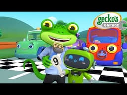 Gecko’s Vehicle Olympics | Gecko's Garage 🚚 | Cartoons For Kids | Toddler Fun Learning